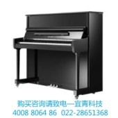 珠江RS120 钢琴里特米勒专业立式钢琴 黑色